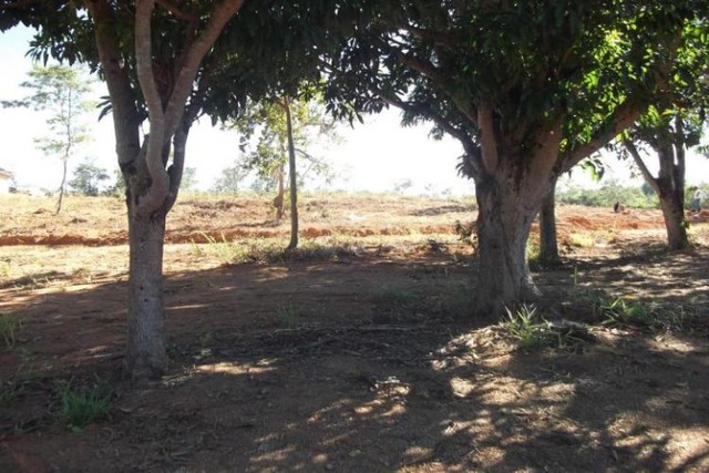 Sitio de 5 mil metros,Jaboticatubas (Temos varias opções). - Foto 2