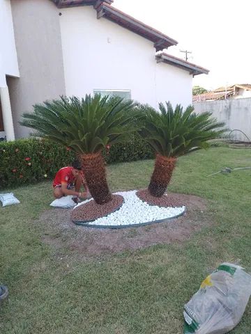 Jardineiro  - Foto 3