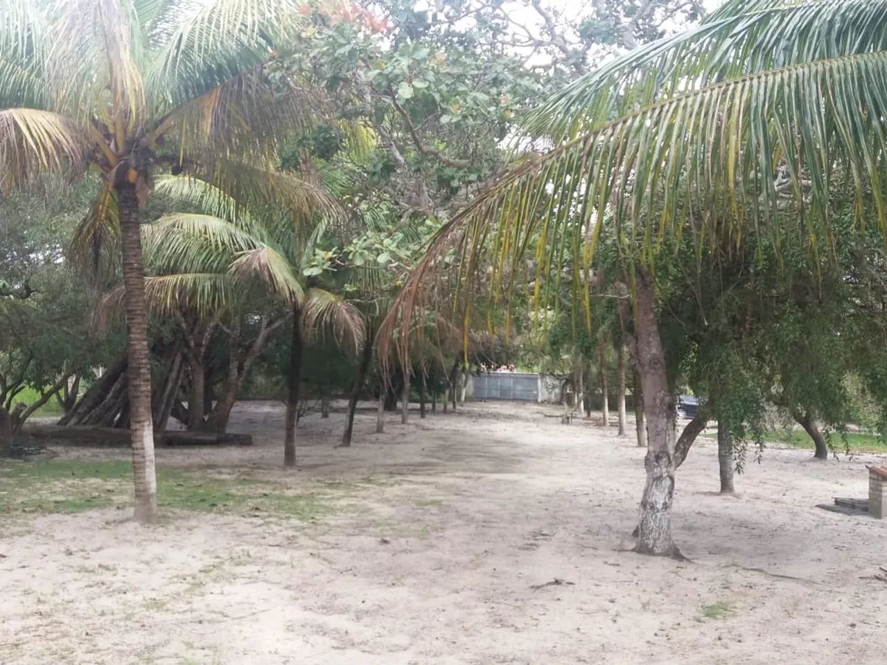 Apenas venda Excelente granja  - Foto 4