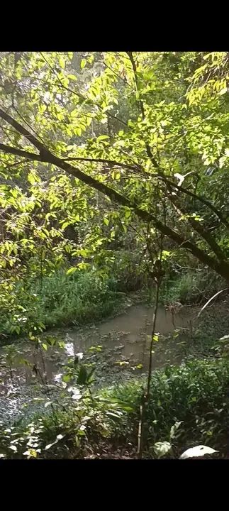 Terreno com área verde e lagoa em Bambus - Esmeraldas - Foto 2