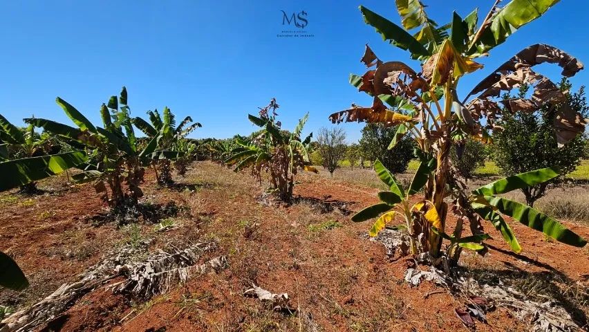 Lote(chácara)  condomínio fechado - Santa Maria-DF - Foto 8