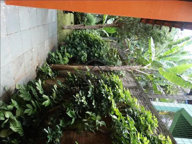 Chácara à venda em Souzas. - Foto 4