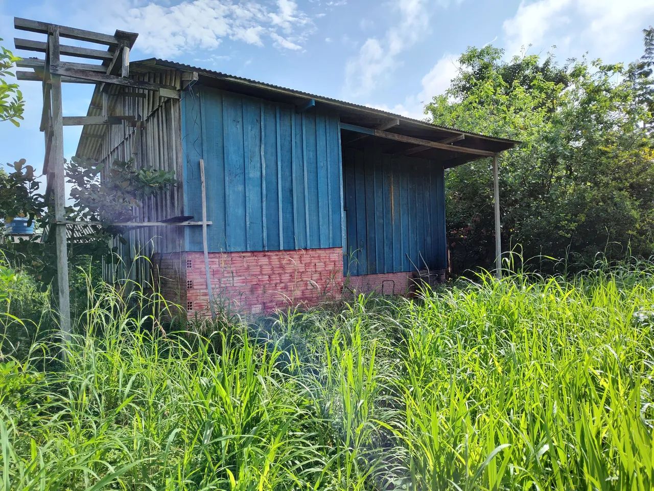 Casa com três terrenos todo murado  - Foto 2
