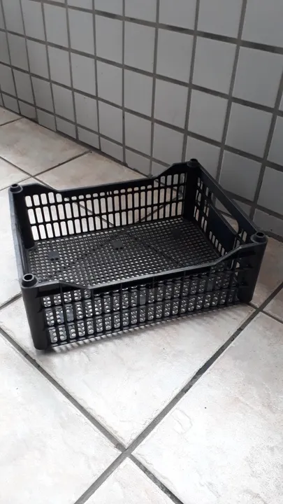 Caixa plástica para organização 