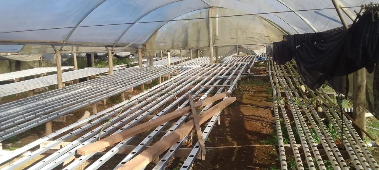 Vendo estufa agrícola hidropônica
