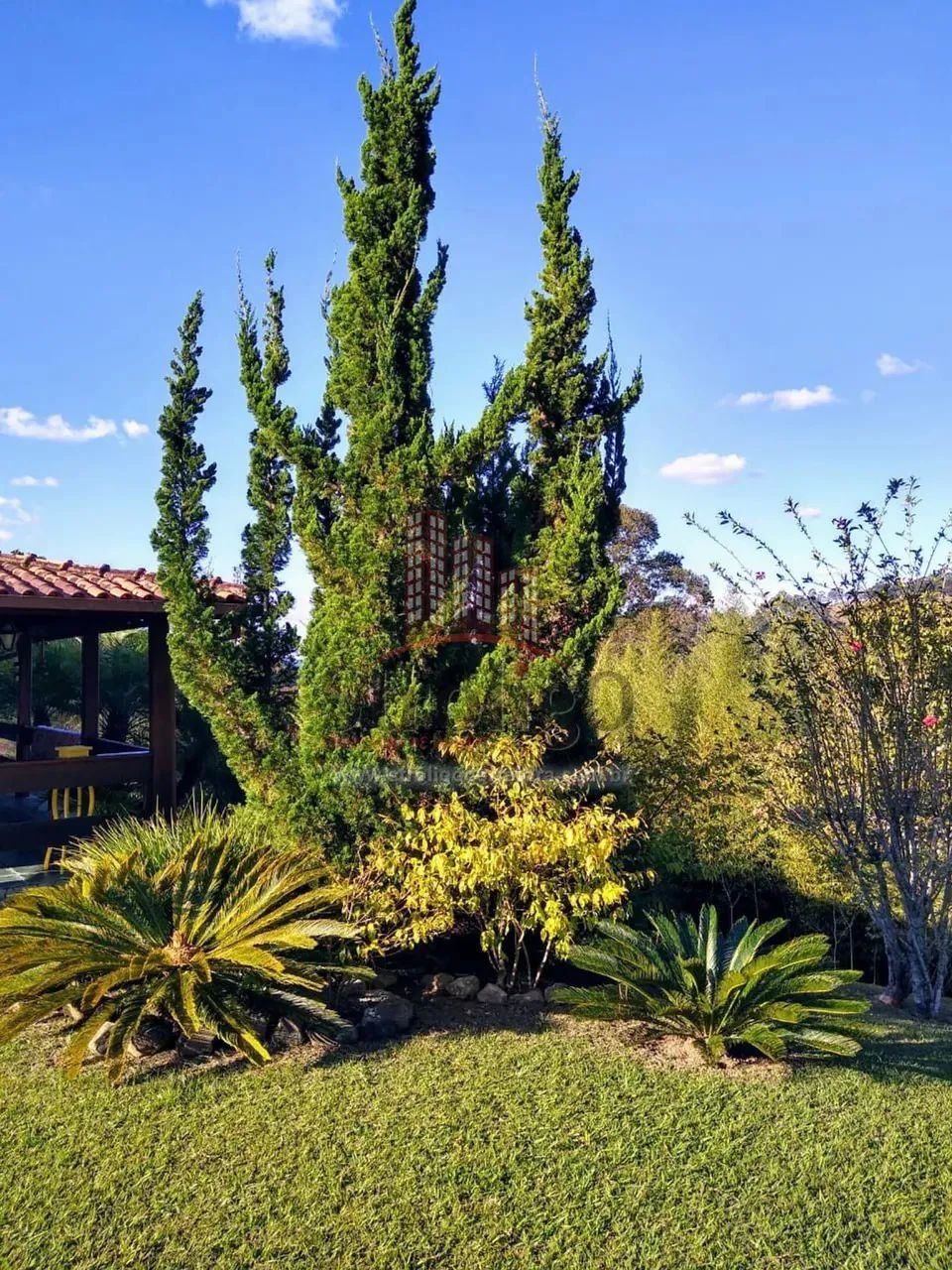C494 Casa com estilo único, terreno medindo 7.250 m², a 8 km do Centro, Nova Friburgo-RJ - Foto 2