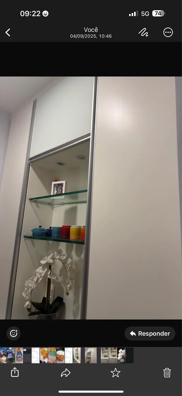 Armário 64168534871299121