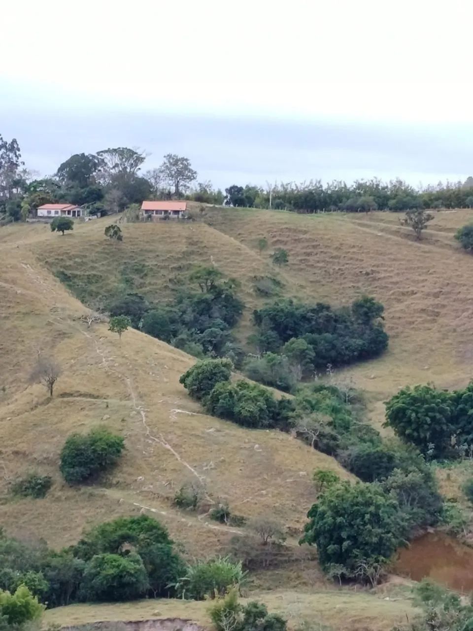 Sítio 20 Alqueires em Caçapava - Com casa e ótimo para gado - Foto 4
