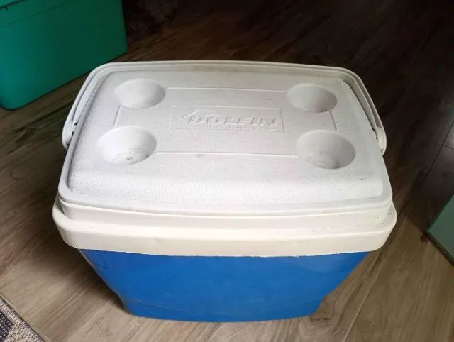 Cooler Dolfin em Plástico Azul 39 cm x 45 cm x 29 cm