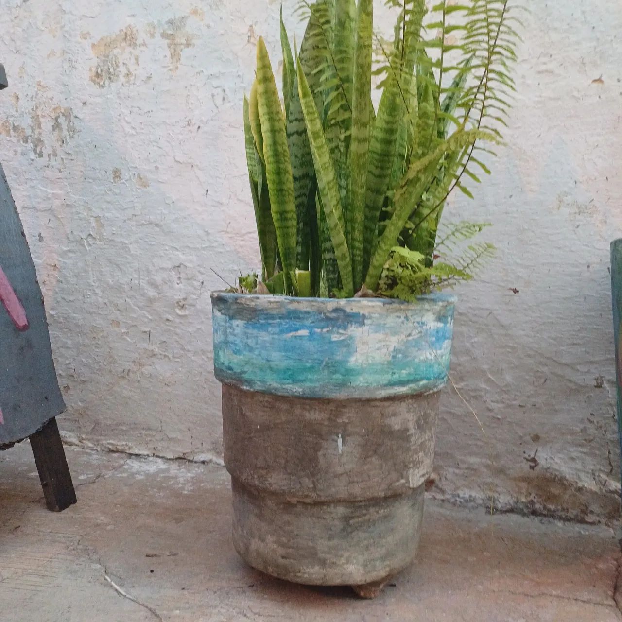 Vaso grande concreto com planta natural espadas retirar ribeirao preto sp não entrego*$50