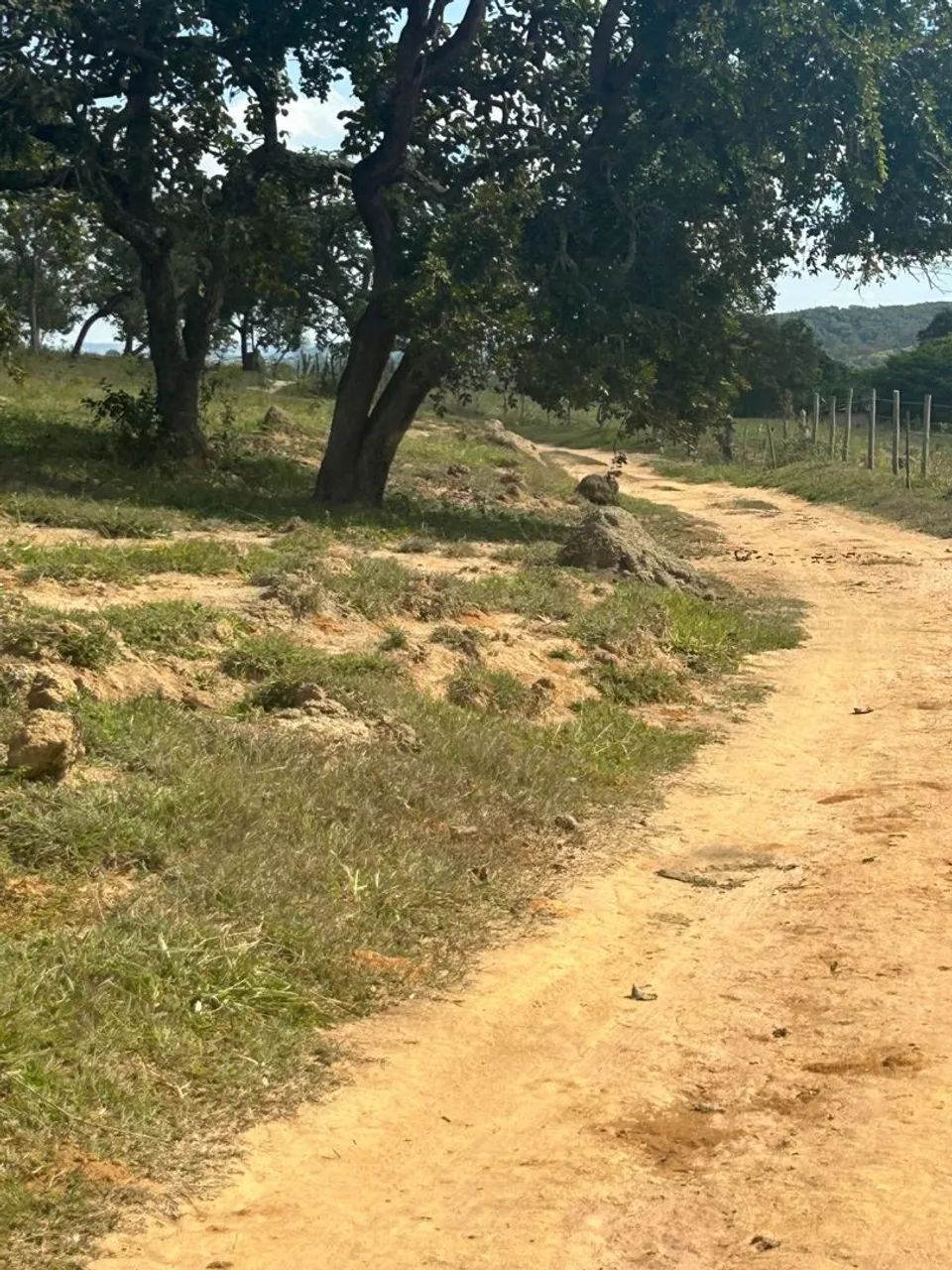 Terreno rural em mateus leme 