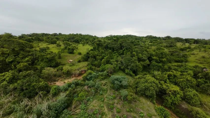 Fazenda à Venda - Oportunidade Rara! - Foto 4