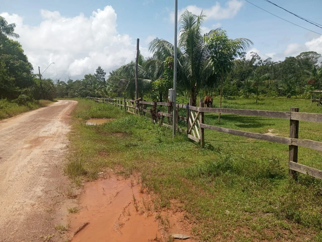 Fazendinha 25ha com Casa Avarandada.