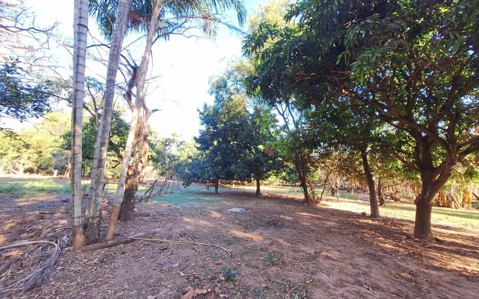 Campo Grande - Chácara - Chácara das Mansões - Foto 5