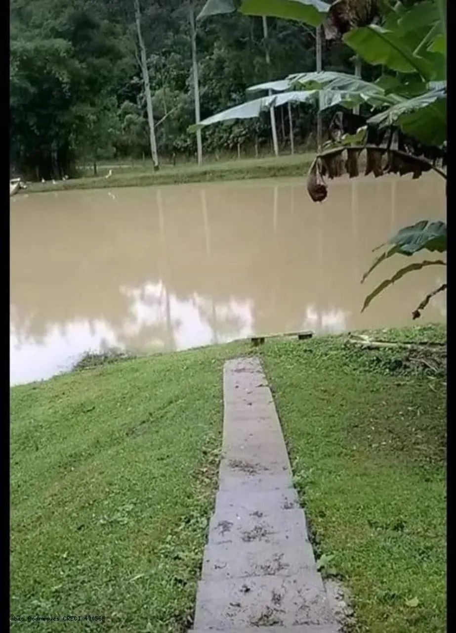 Sítio para Venda em Blumenau, Progresso, 4 dormitórios, 2 banheiros, 2 vagas - Foto 3