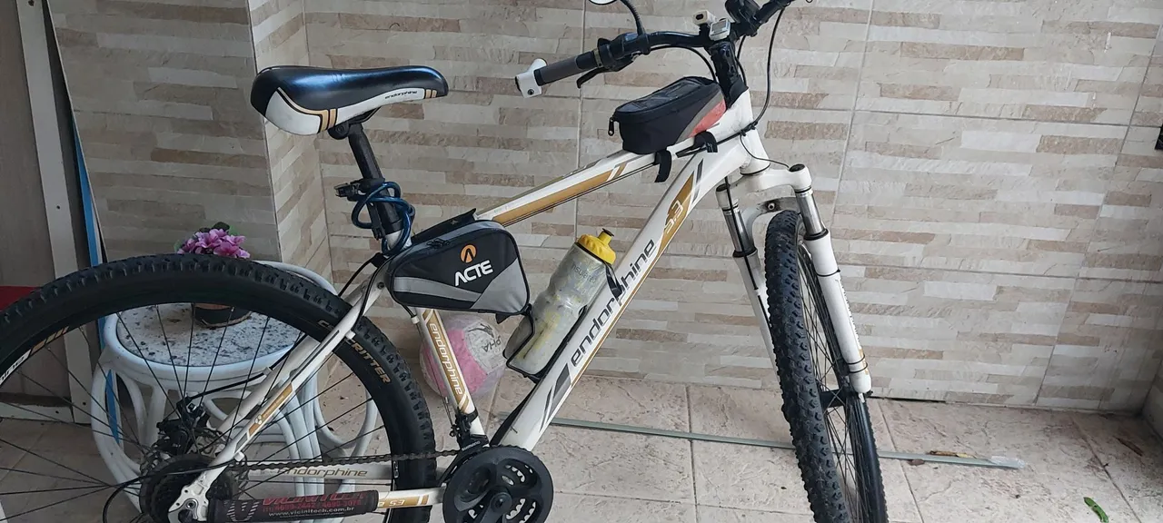 Byke Endorphine Aro 29 5.3 + acessórios