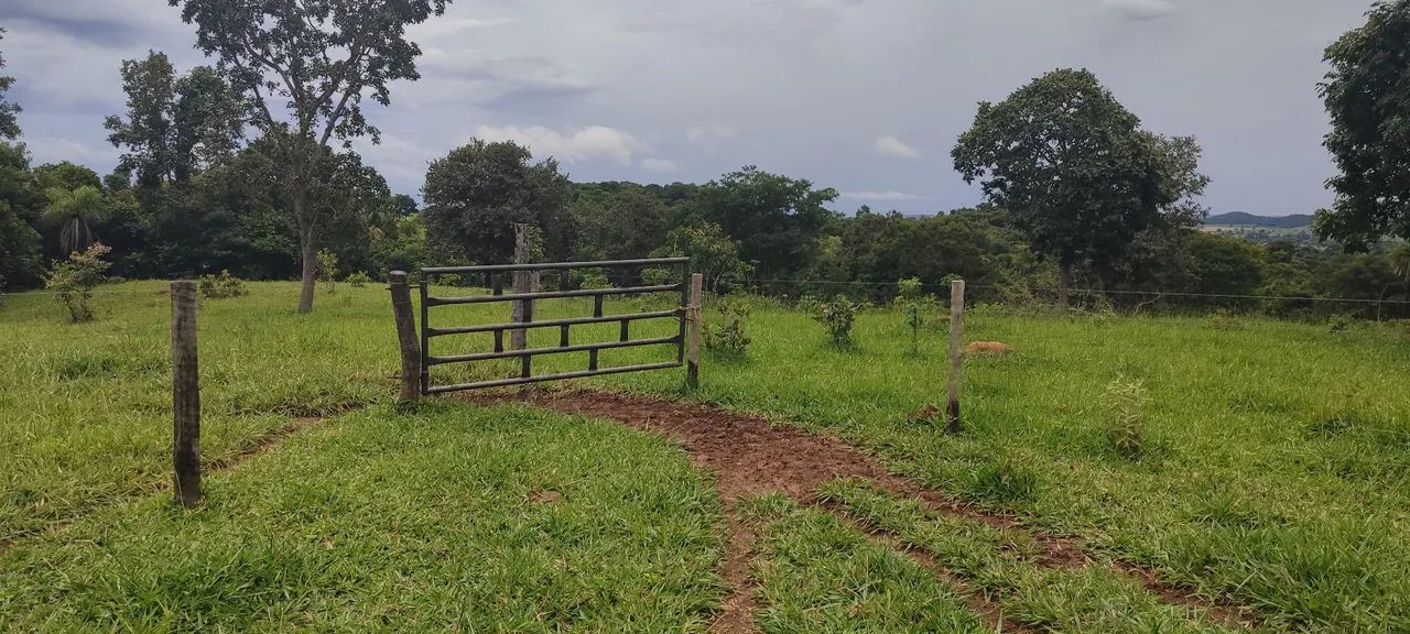 Chácara em Pontalina  - Foto 3