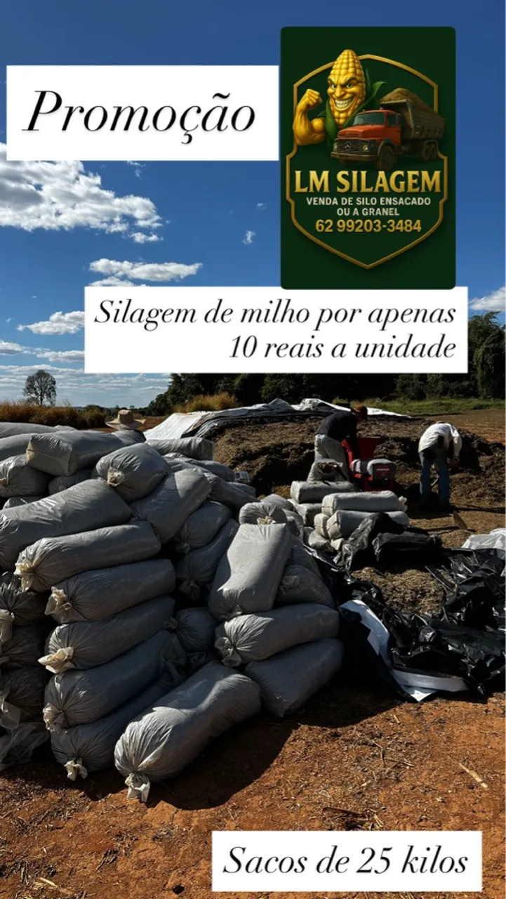Silagem de Milho a 10 Reais - Sacos de 25kg
