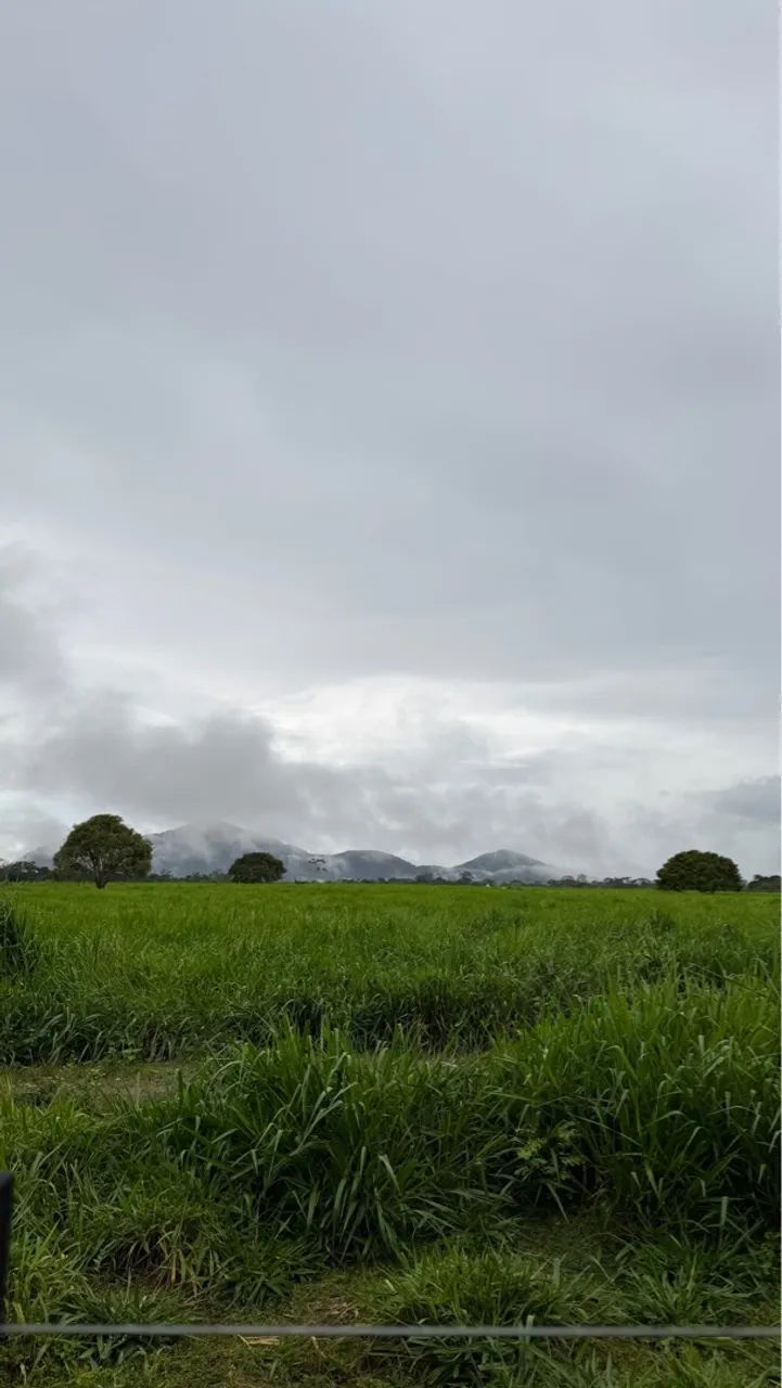 Fazenda 700ha em Cantá/RR - 260ha limpos, sede, curral, galpão e documentação em dia. - Foto 3