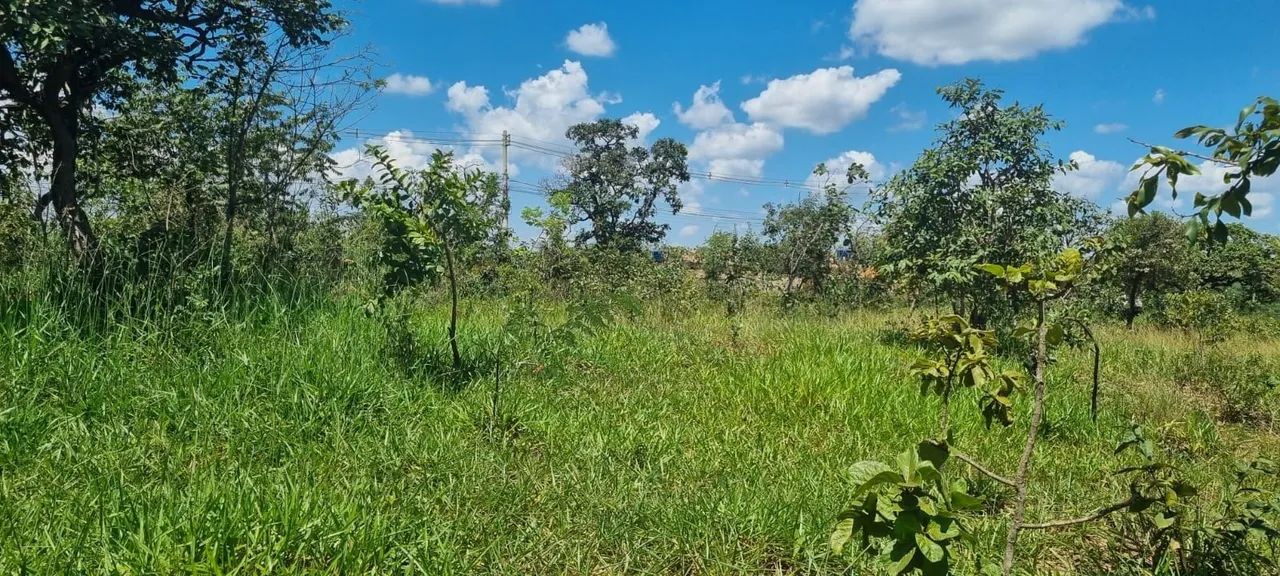 Terreno em ótima localização! - Foto 3