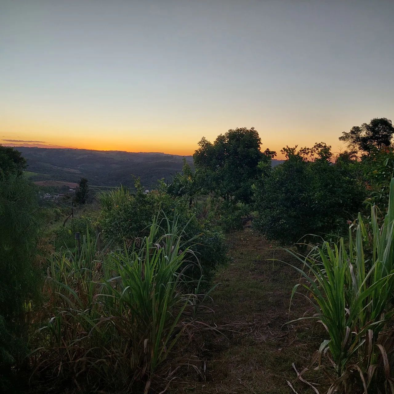 Chácara a venda ou alugo - Piedade SP - Foto 3