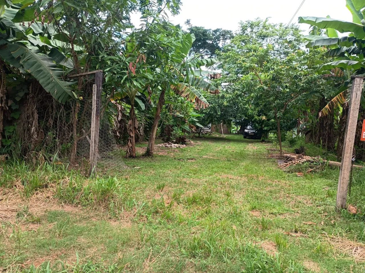 Foto - Porto Velho - Área Rural de Porto Velho