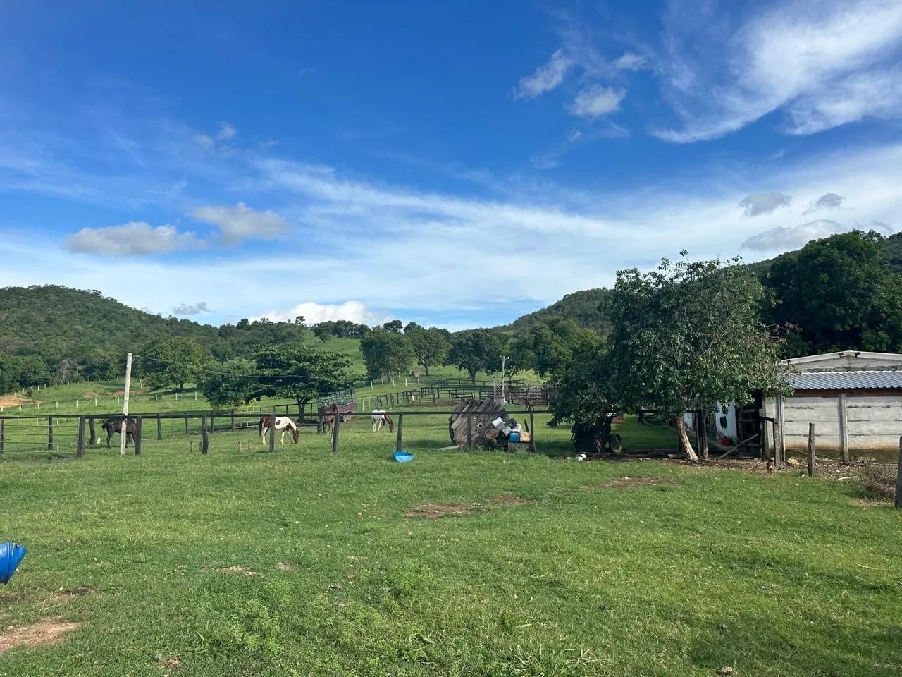 Fazenda de 58 alqueires em Faina- Go - Foto 4