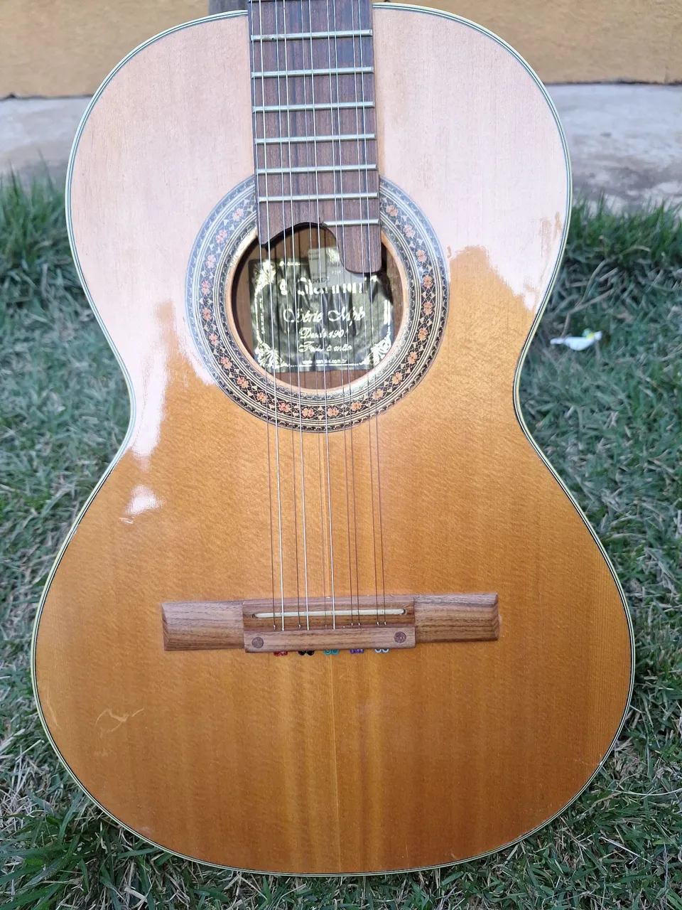 Viola Giannini série MPB