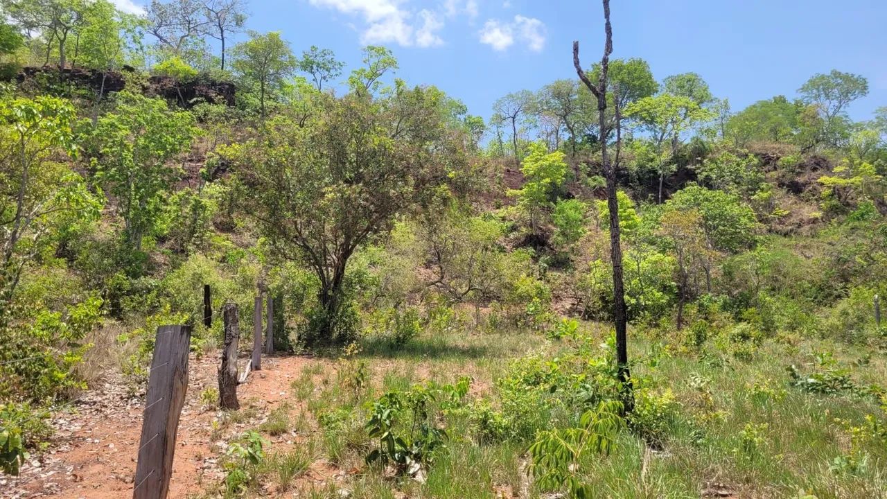 Grande Fazenda à Venda - Ideal para Agricultura e Pecuária - Foto 8