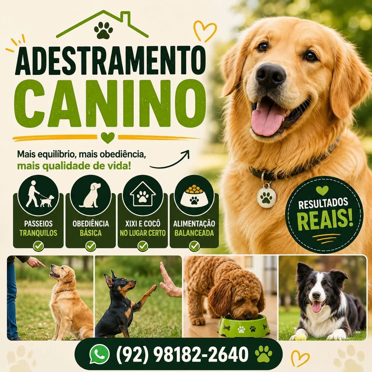 Adestramento Manaus