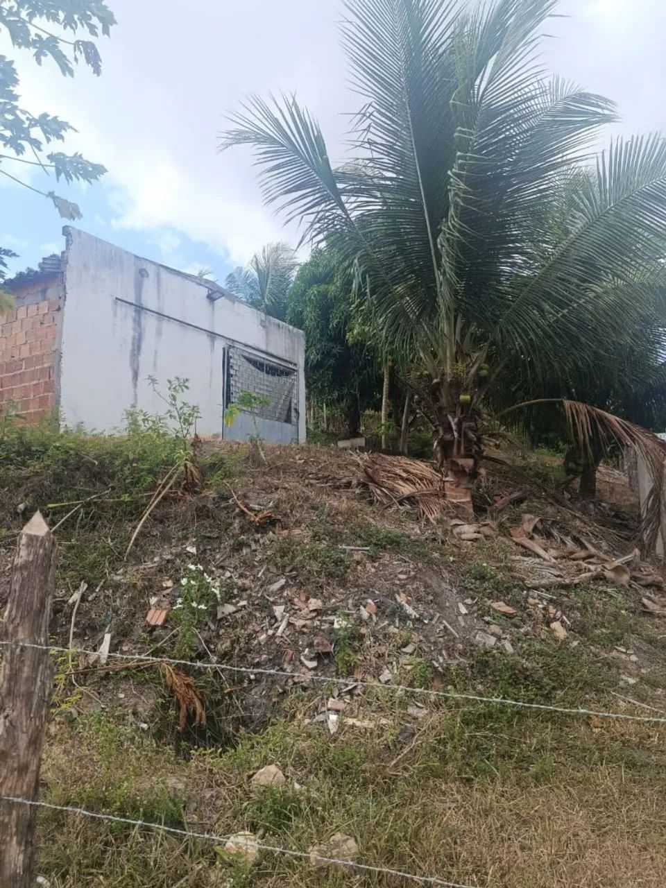 Terreno  - Foto 2