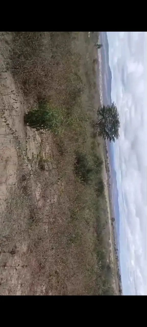 Terreno - Foto 2