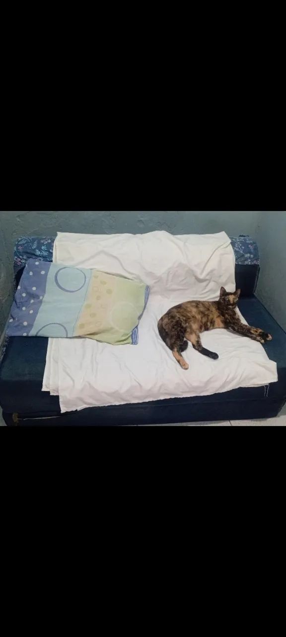 Sofa cama