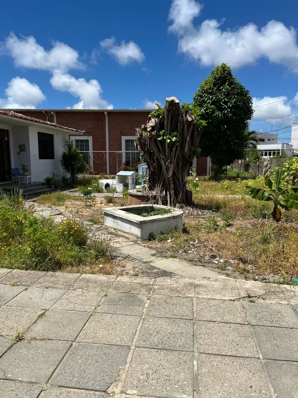TERRENO BAIRRO DA TORRE - Foto 4