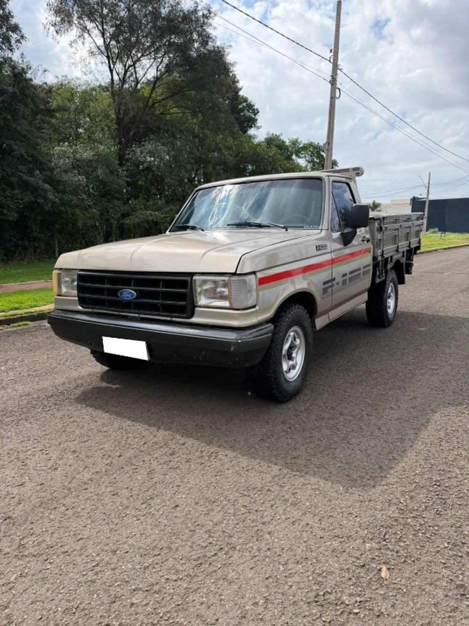 Ford F-1000 S. S. Diesel / S.s. Diesel Turbo 1995