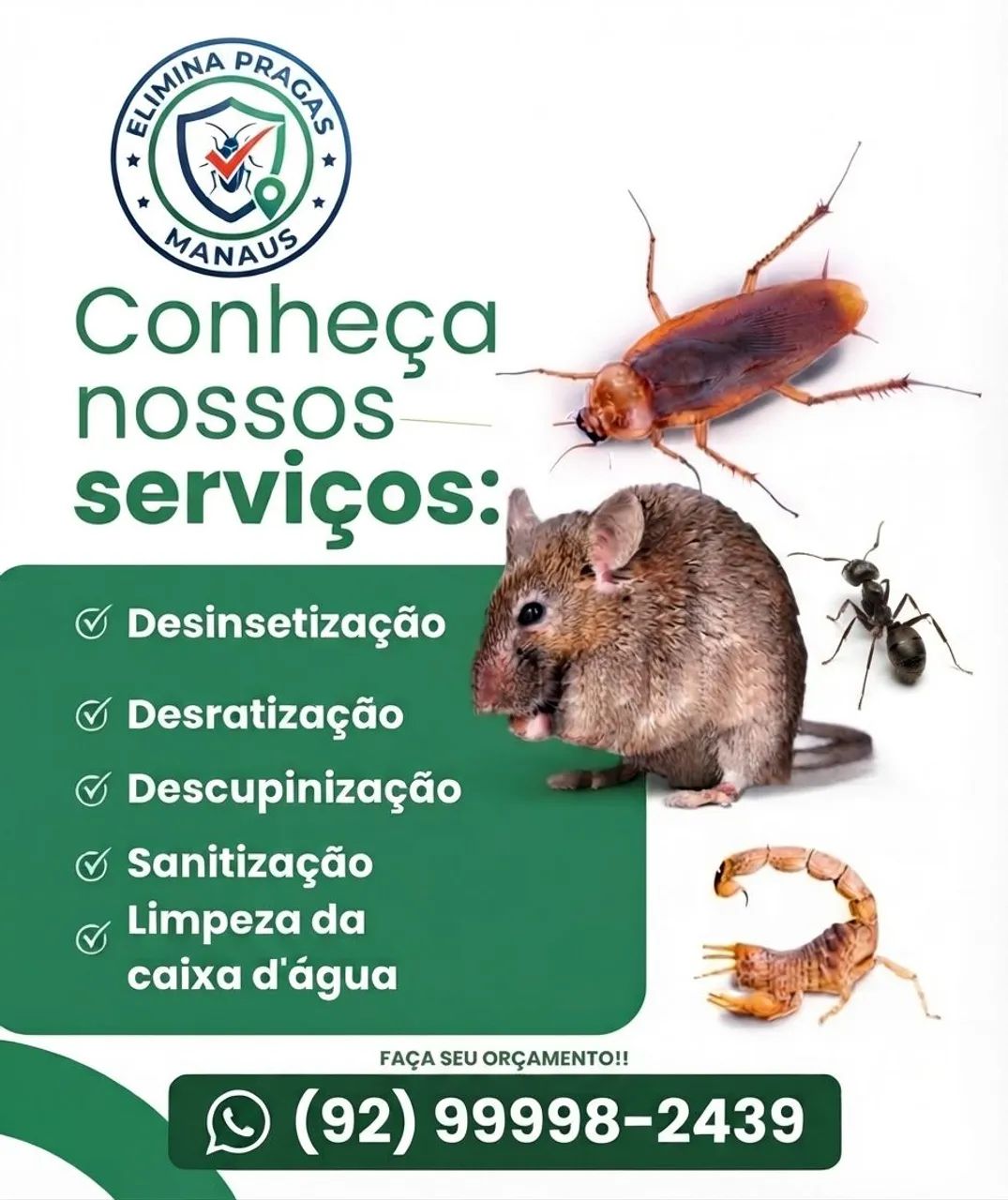 Dedetização  - Foto 2