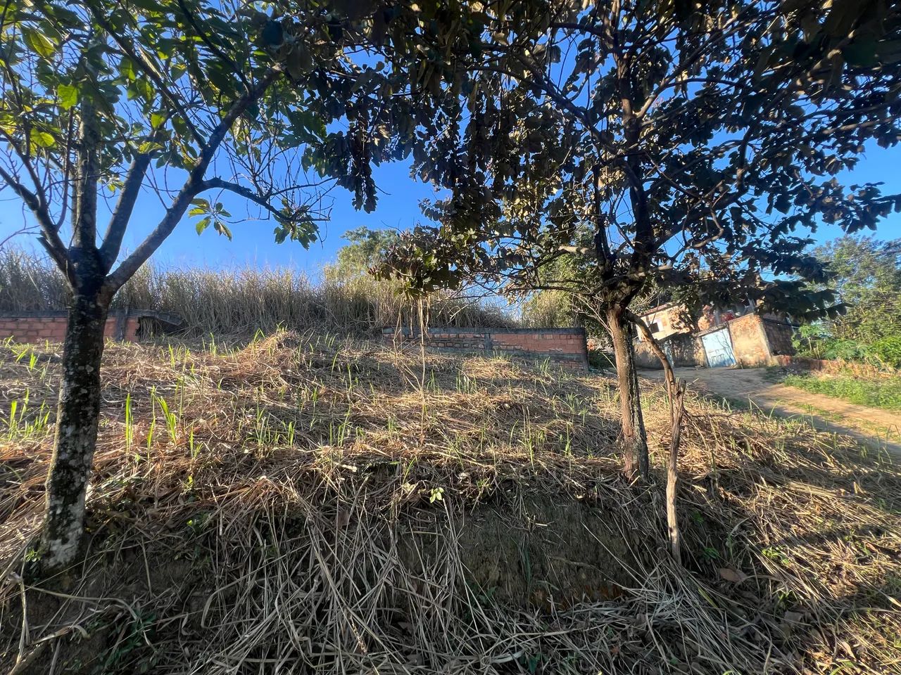 Terreno  - Foto 5