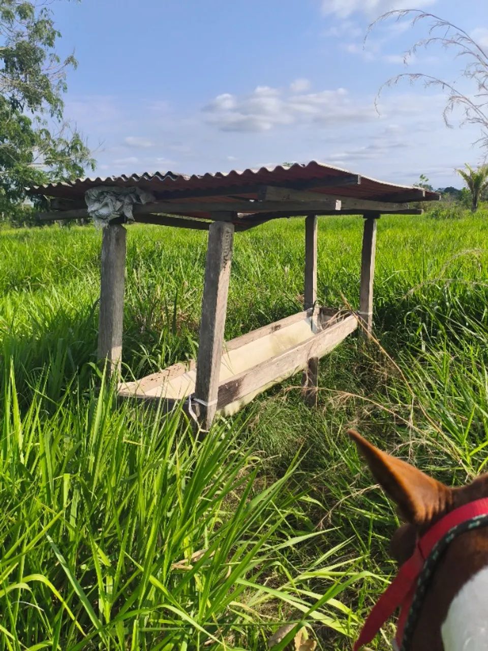 Colônia a 32 km da cidade - Foto 5