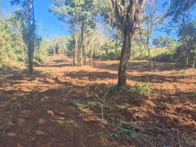 EXCELENTE ÁREA PARA LAZER - 1 HA (10.000 m²) - Foto 4
