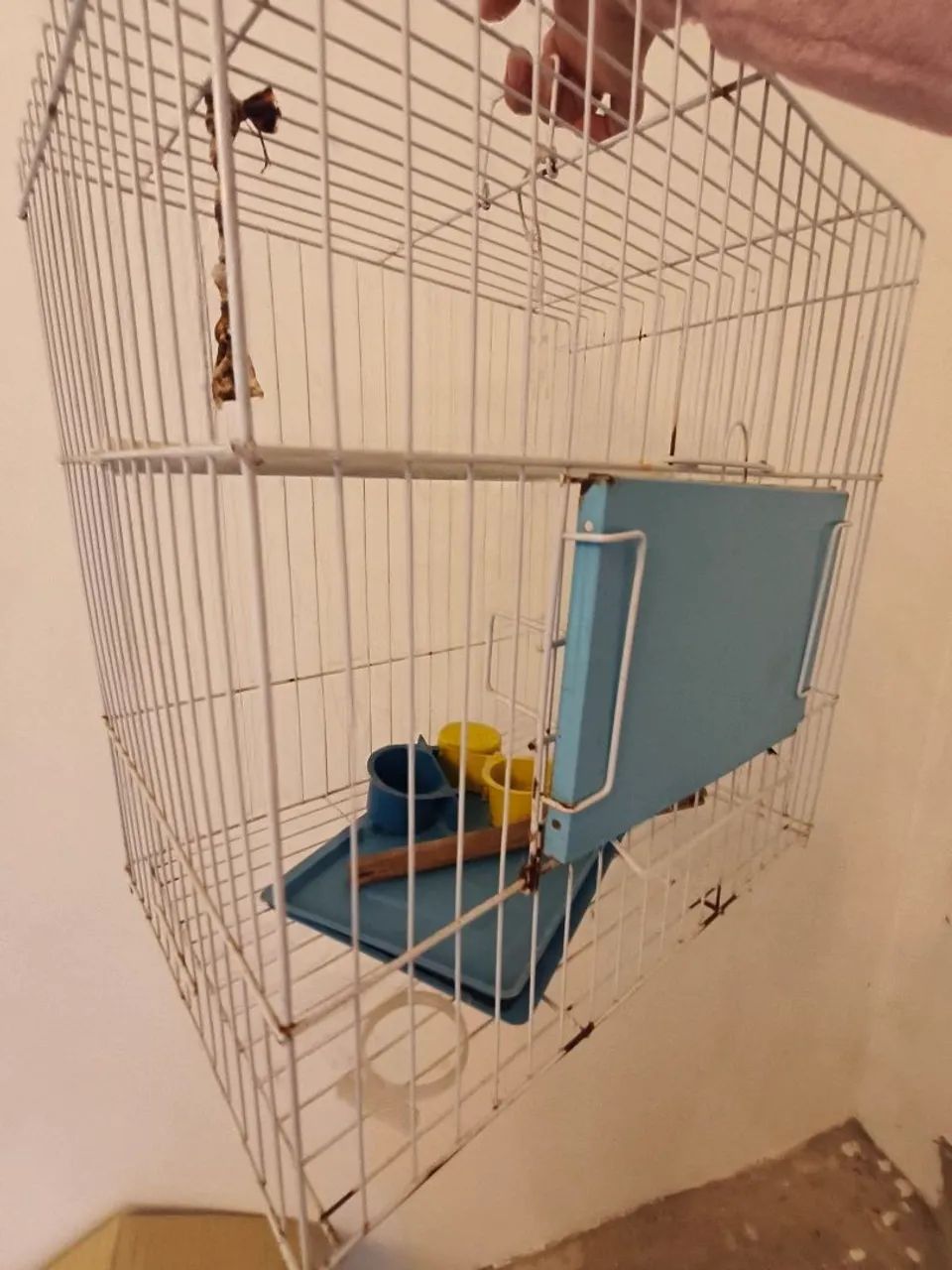 Gaiola passarinho  - Foto 5
