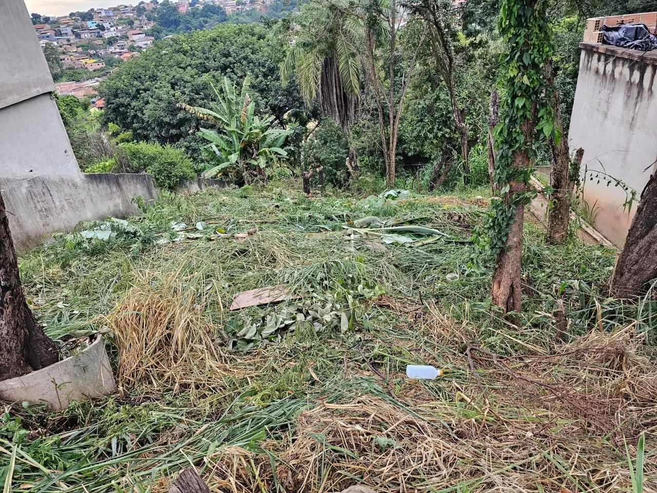 Lote novo reito - Foto 2