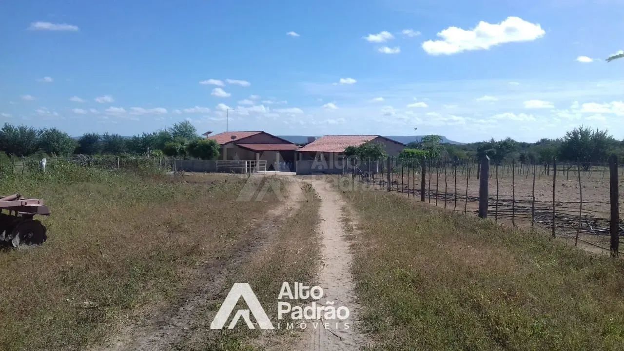 FAZENDA COM 497 HECTARES - Foto 2