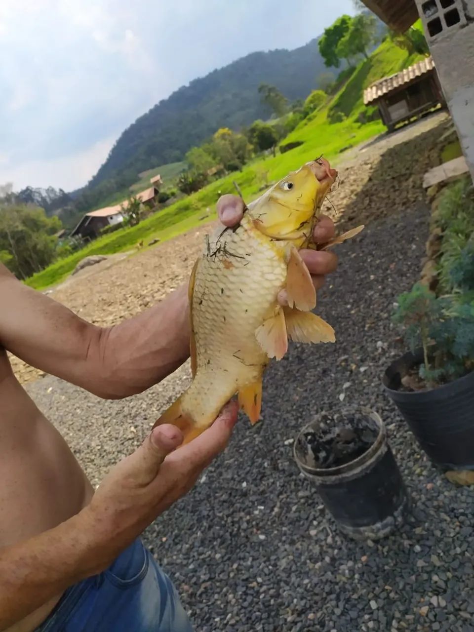 EXCELENTE CHÁCARA EM RIO DO CAMPO - Foto 4