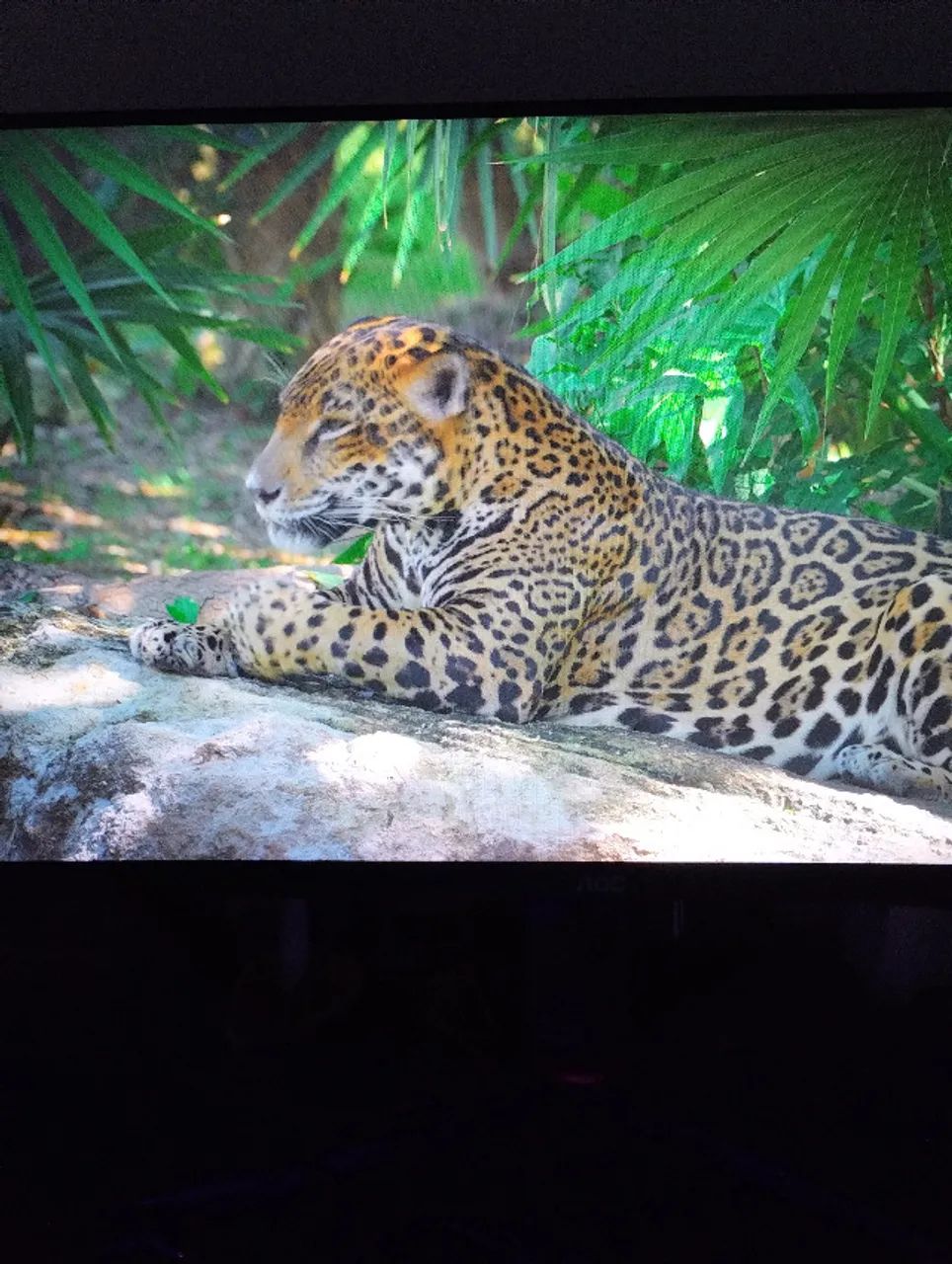MONITOR AOC HERO 27G2 - Foto 5