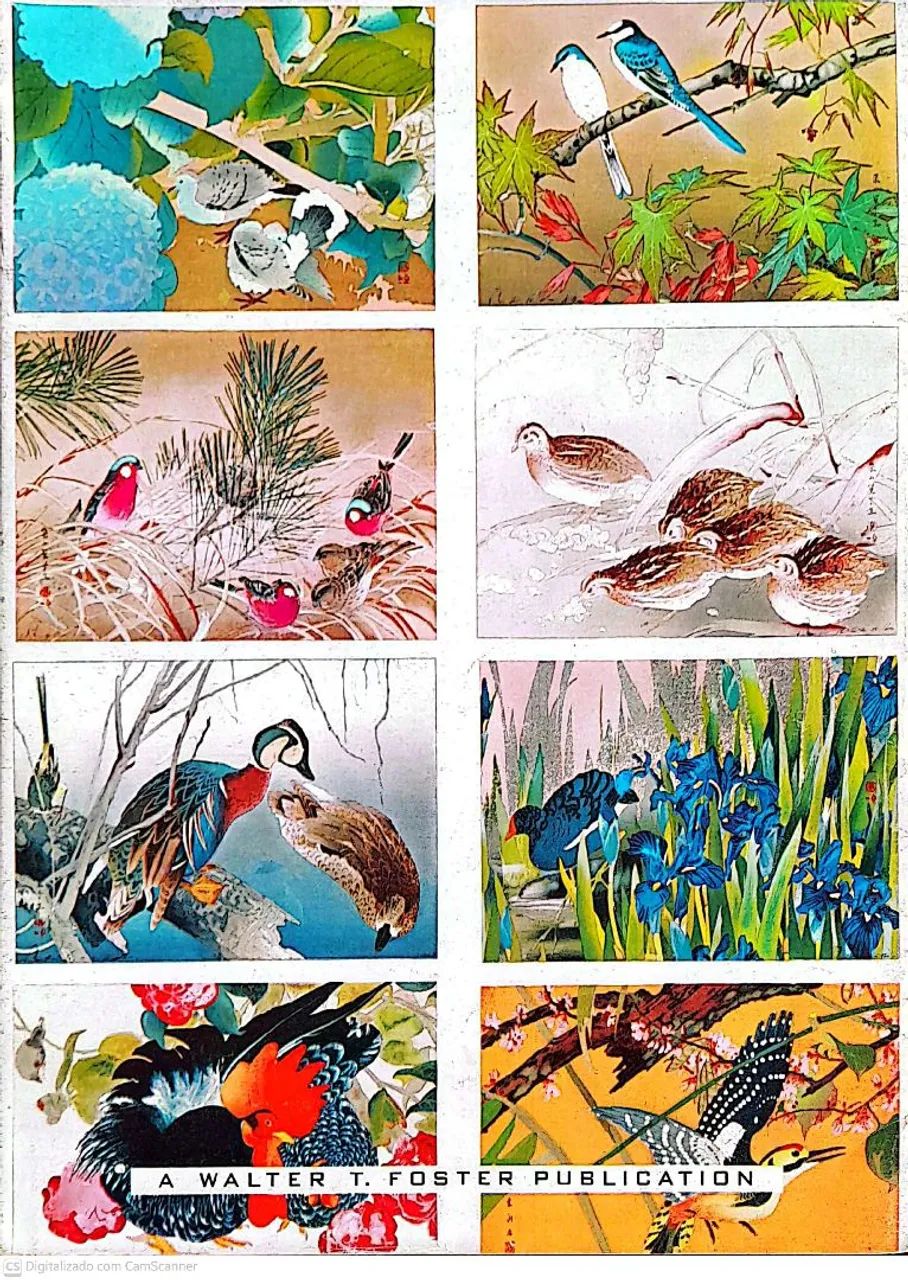Livro The Art of Rakusan Tsuchiya (usado) N° 57 - Foto 2