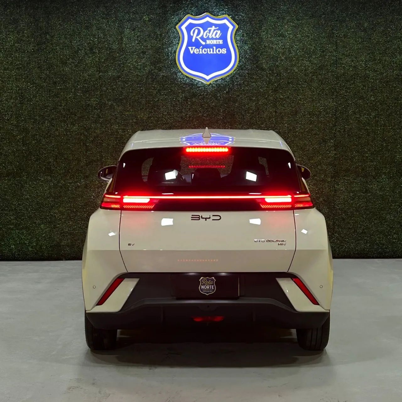 BYD Dolphin Mini (Elétrico) 2027 - Foto 4