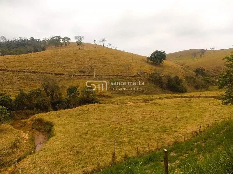 SÍTIO COM ÓTIMA SEDE /GADO LEITE/CORTE - LORENA - SP - Foto 2
