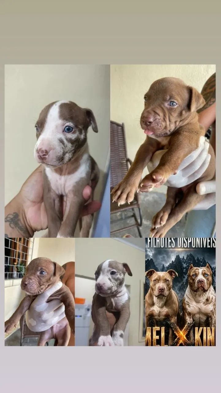 Disponível 