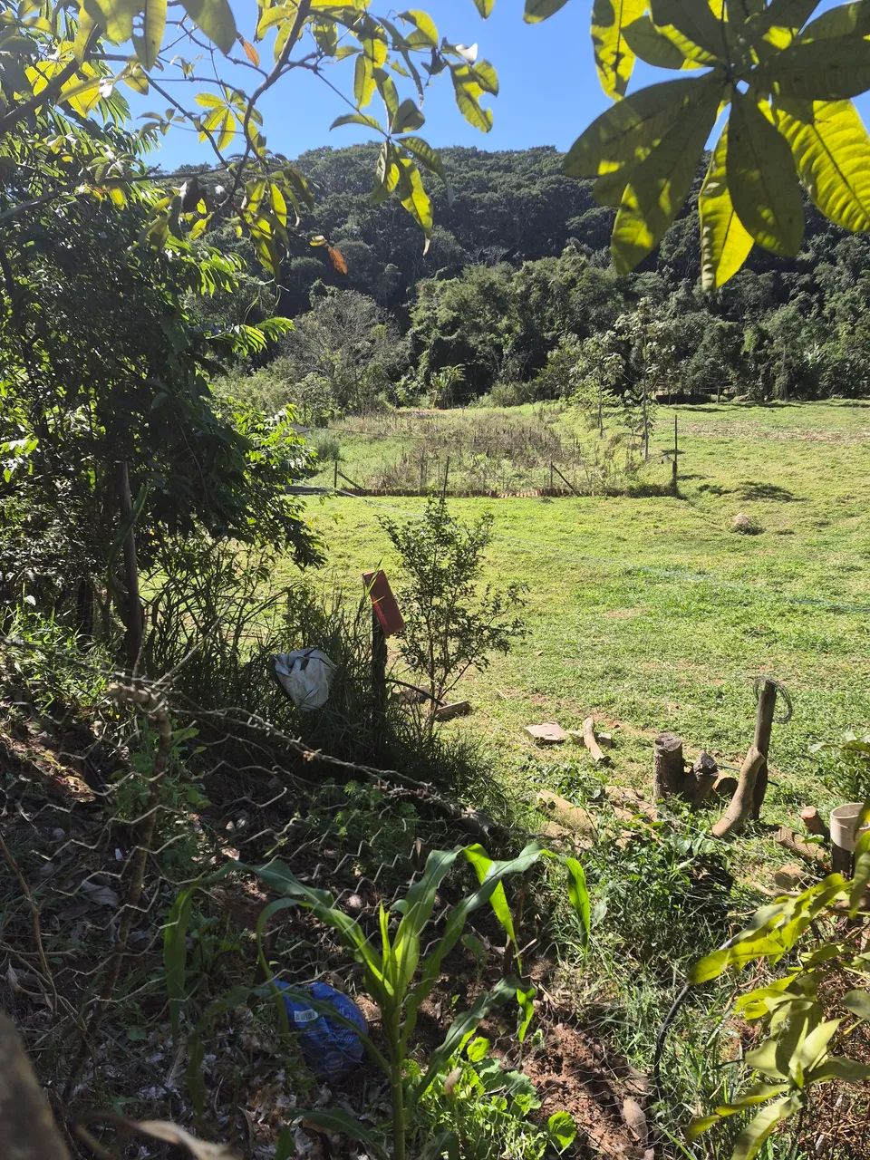 Chácara em silveiras 3000m² - Foto 4