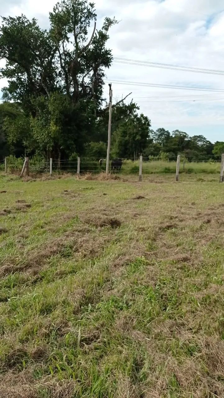 Vendo terreno em Sarapuí bairro Floresta divisa com Araçoiaba! - Foto 2